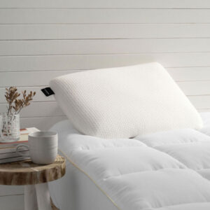 Pillow Inner - Latex with Cover