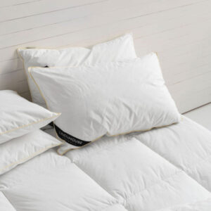 Exceed Pillow Inner