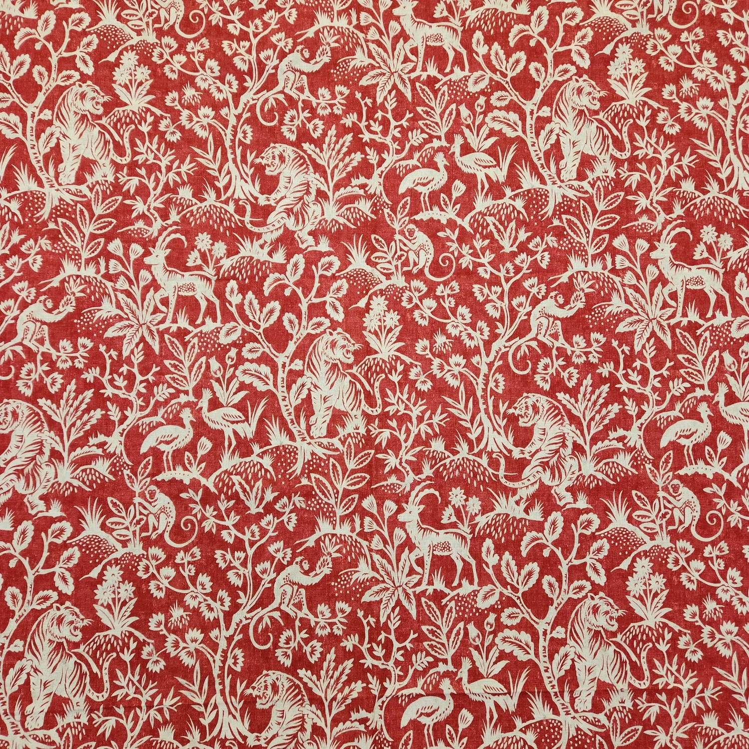 Enchanted Cranberry
