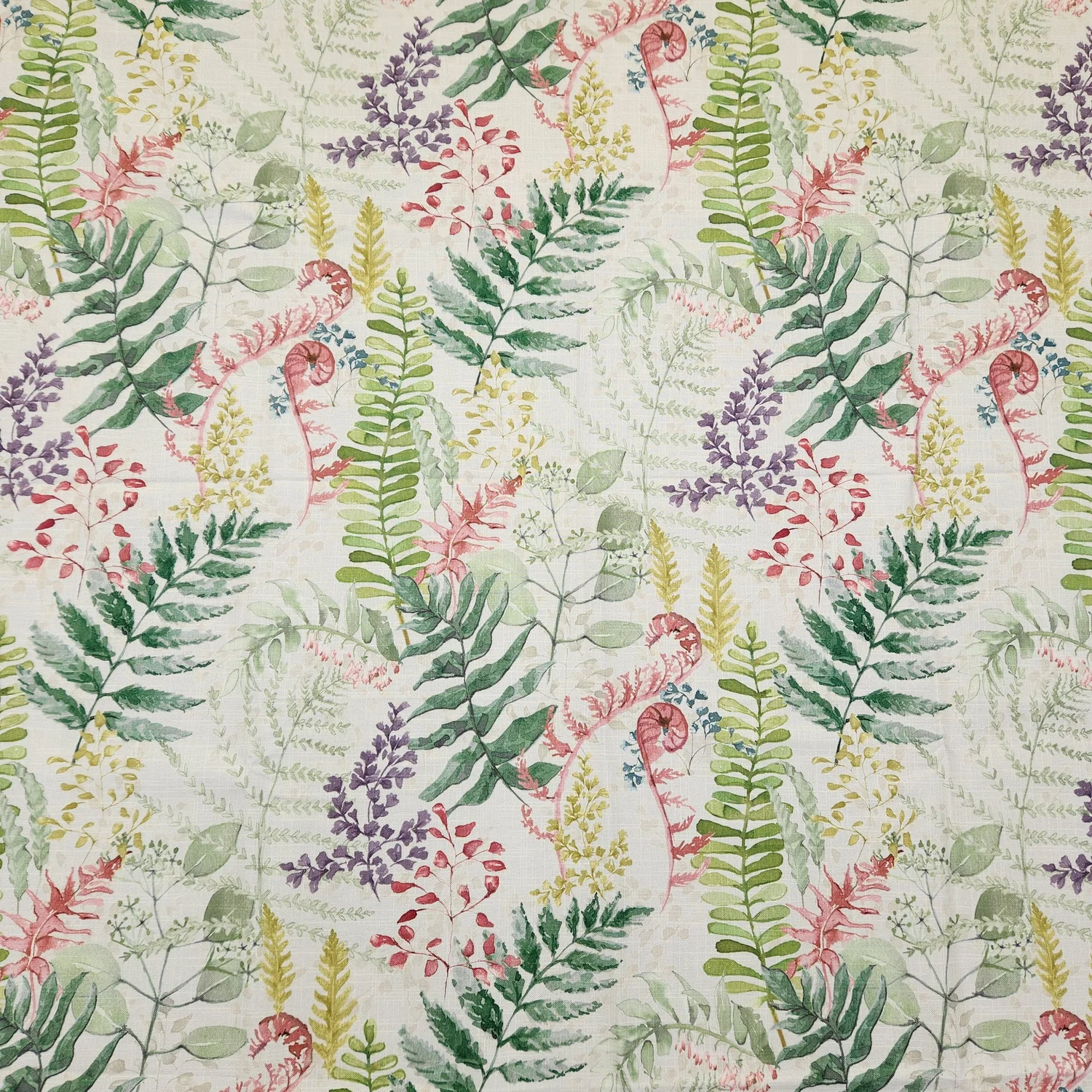 Fernery Sweetpea