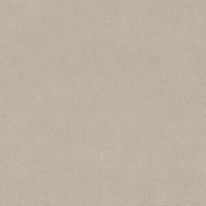 Backdrop Wallpaper - Fossil