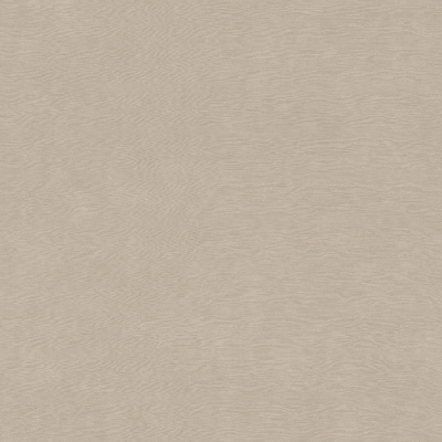 Backdrop Wallpaper - Fossil