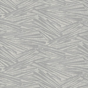 Astro Wallpaper - Silver